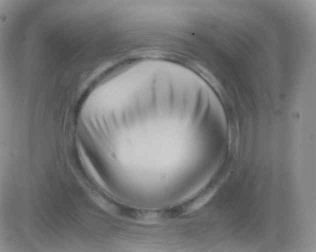 X0000083060301200702232028