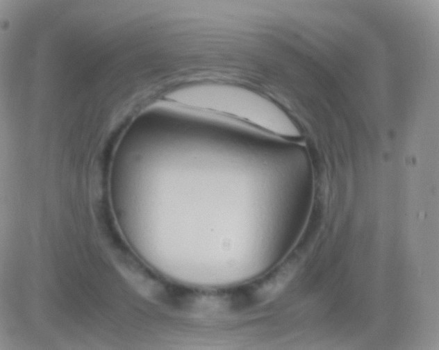 X0000083060303200702232028