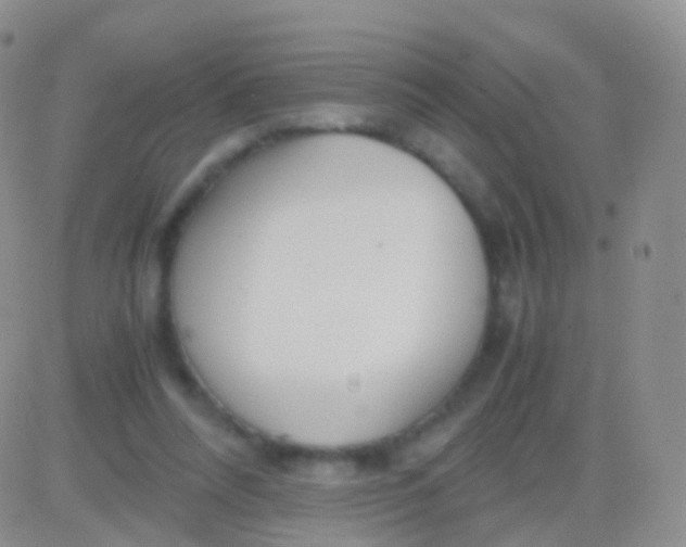 X0000083060304200702232028