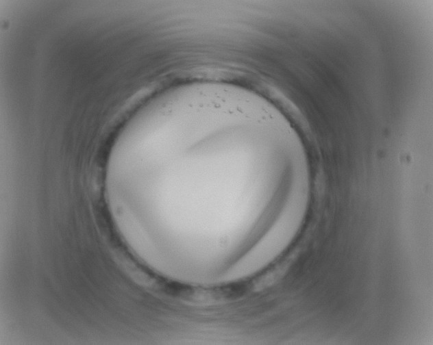 X0000083060305200702232028