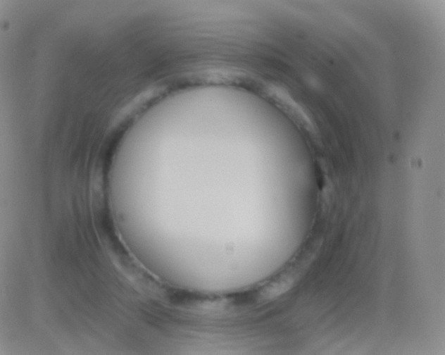 X0000083060306200702232028