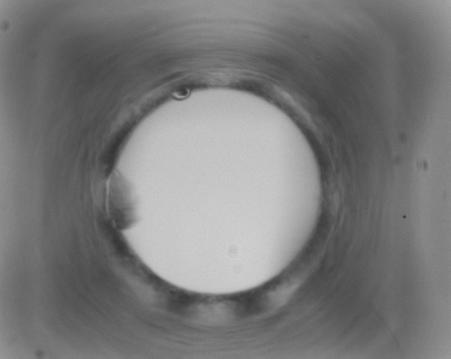 X0000083060307200702232028