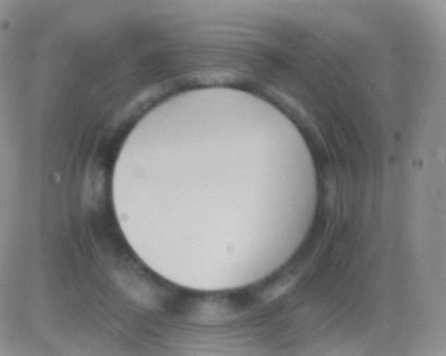 X0000083060308200702232028