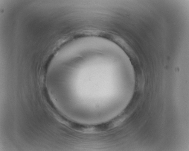 X0000083060309200702232028