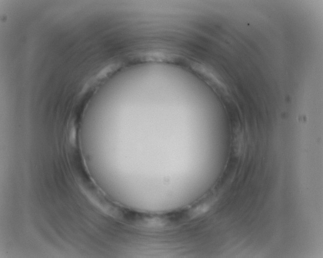 X0000083060310200702232028