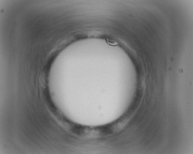 X0000083060311200702232028