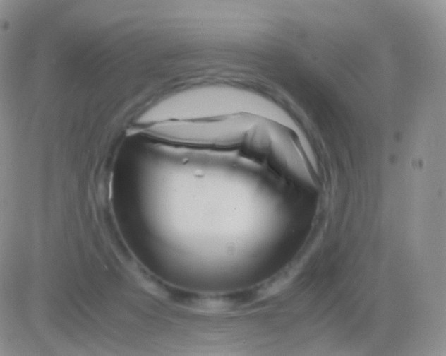 X0000083060313200702232028