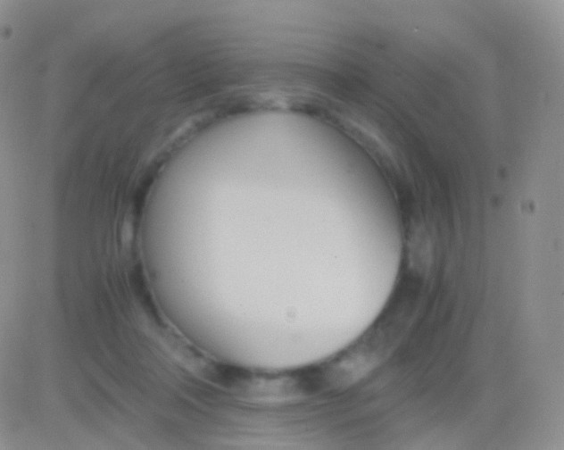 X0000083060314200702232028