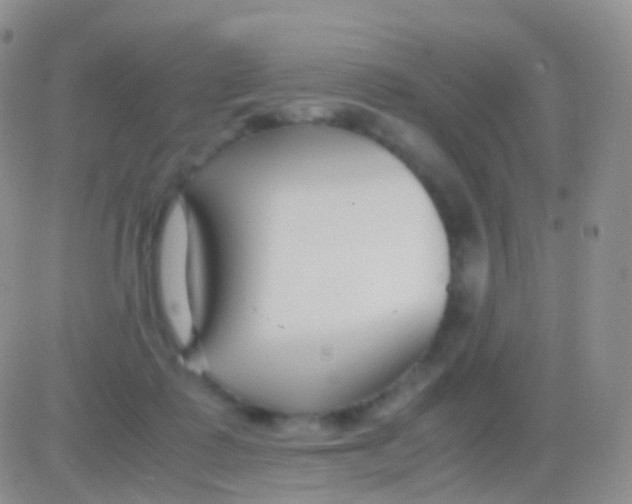 X0000083060315200702232028