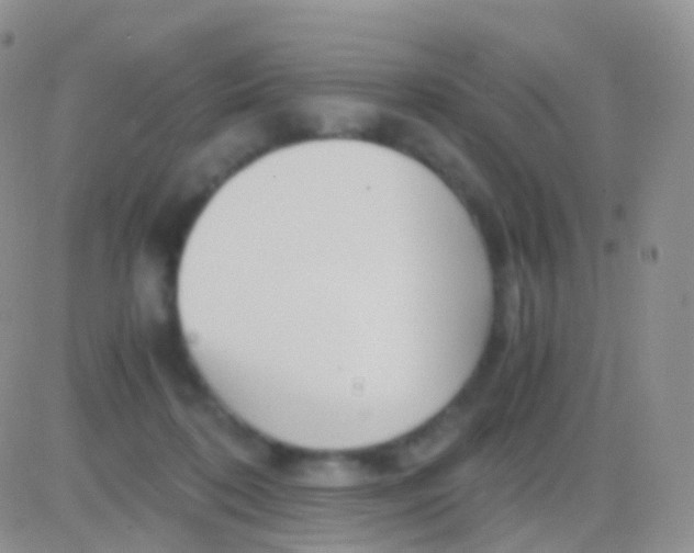 X0000083060316200702232028