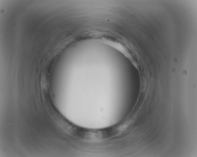 X0000083060317200702232028