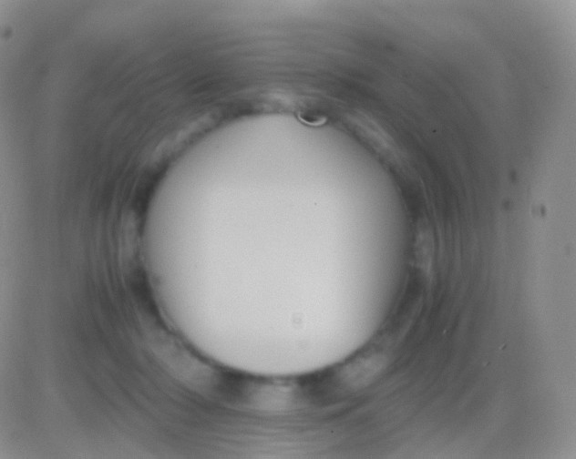 X0000083060318200702232028