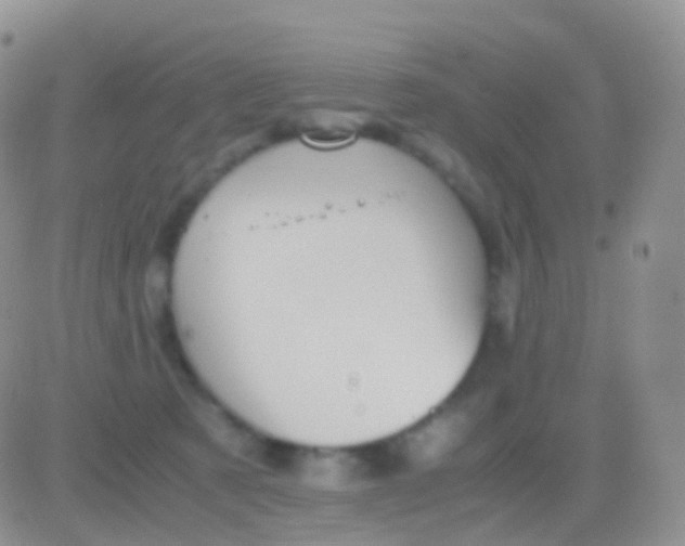 X0000083060321200702232028