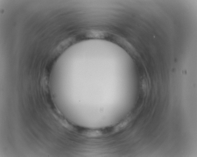 X0000083060322200702232028