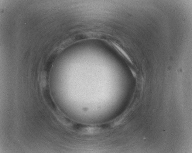 X0000083060323200702232028