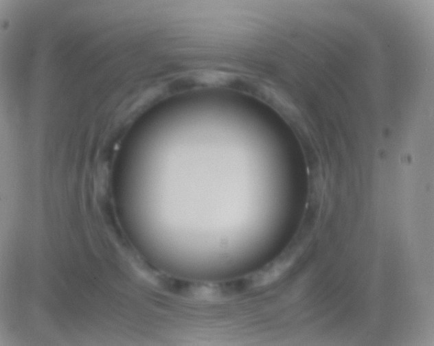 X0000083060325200702232028