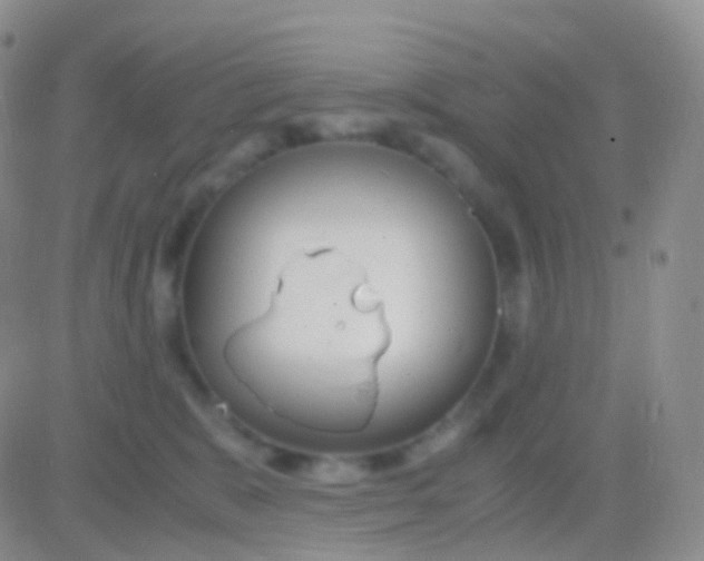 X0000083060327200702232028