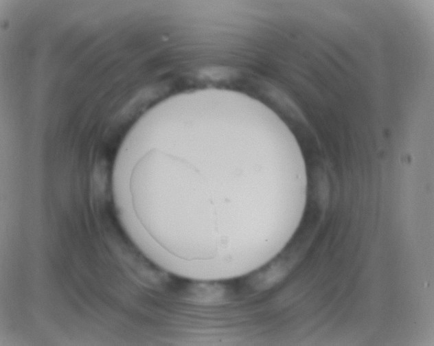 X0000083060328200702232028