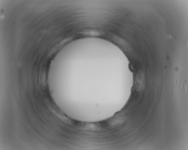 X0000083060330200702232028