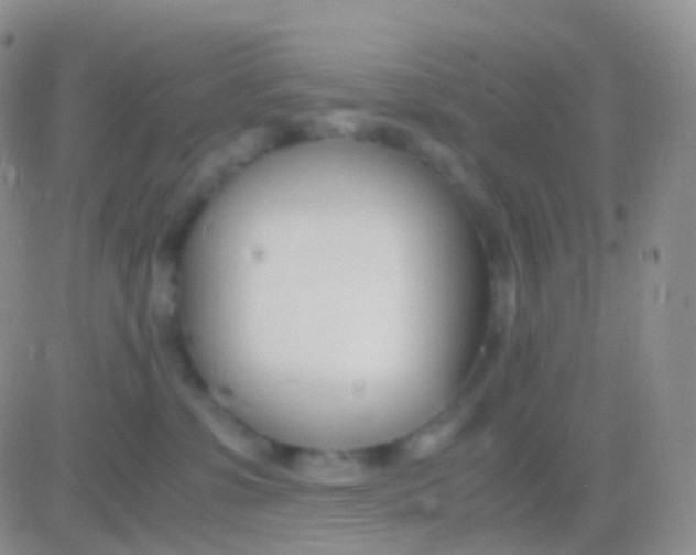 X0000083060331200702232027