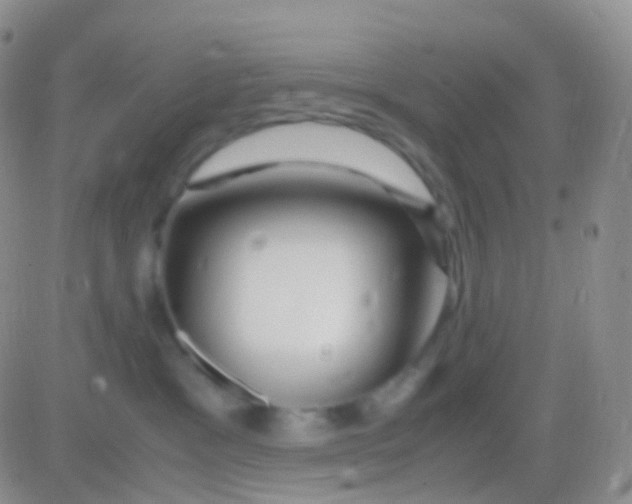 X0000083060333200702232027