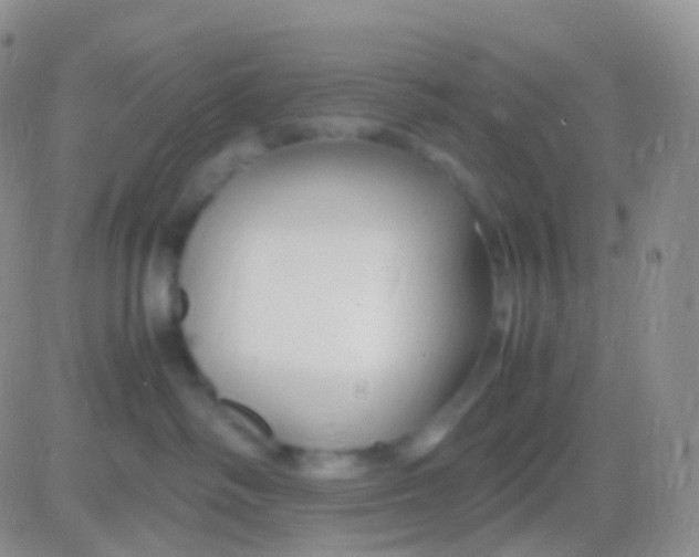 X0000083060334200702232027