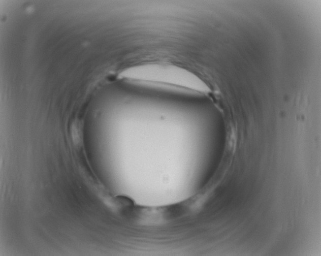 X0000083060335200702232027