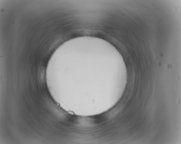 X0000083060336200702232027