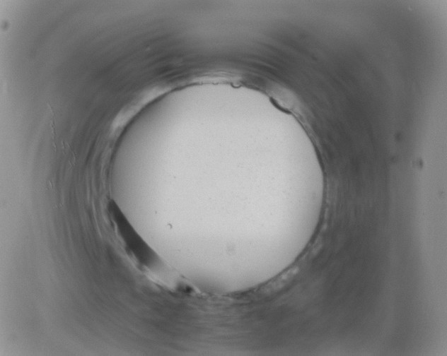 X0000083060337200702232027