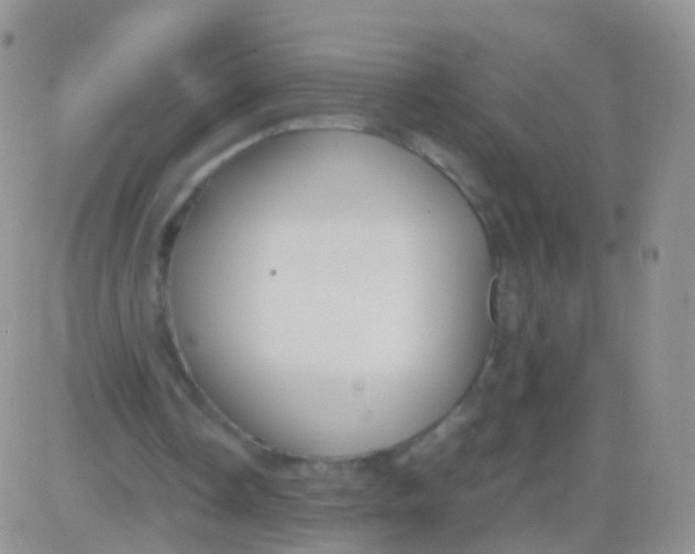 X0000083060338200702232027