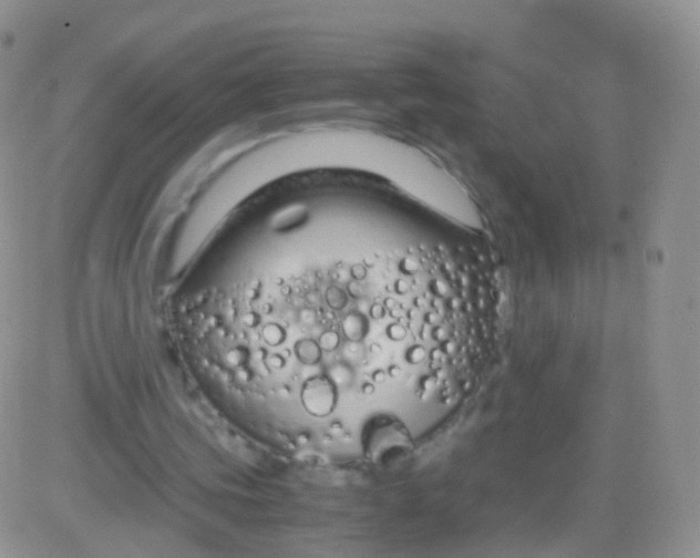 X0000083060339200702232027