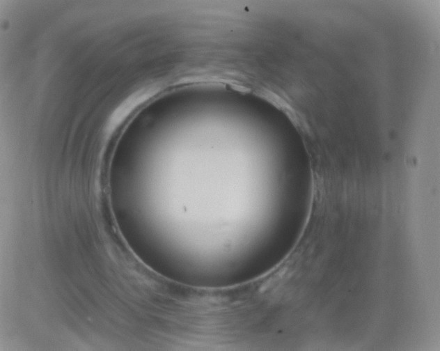 X0000083060340200702232027