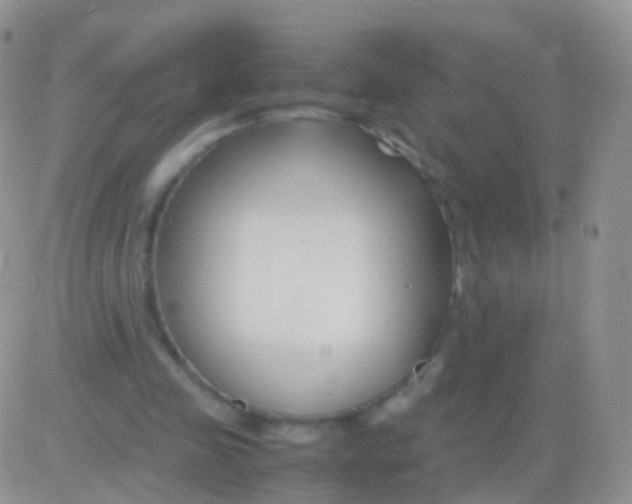 X0000083060341200702232027