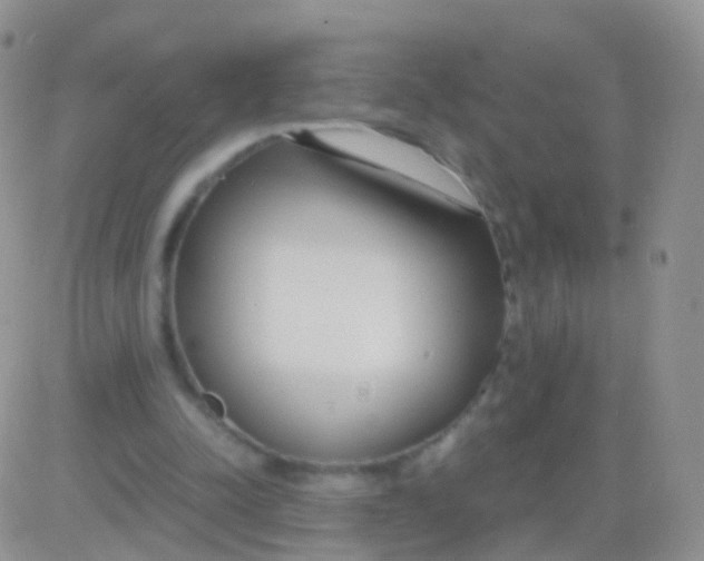 X0000083060342200702232027