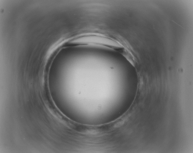 X0000083060344200702232027