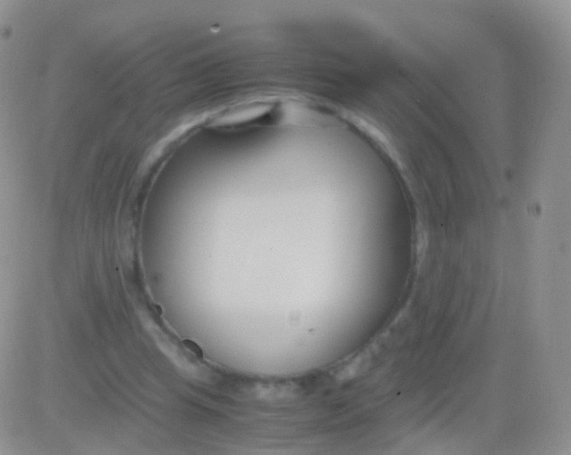 X0000083060345200702232027