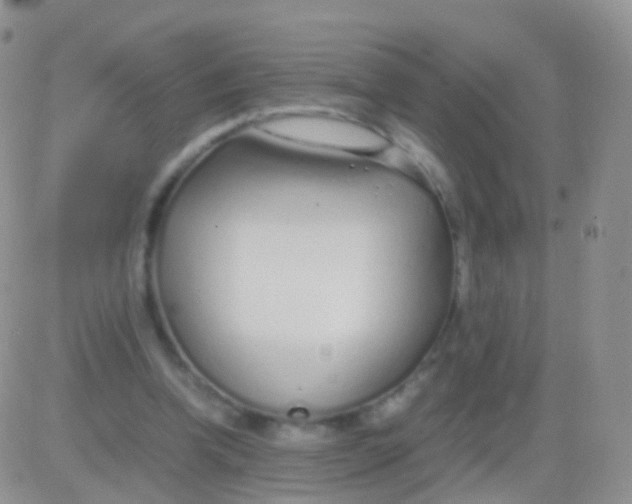 X0000083060346200702232027