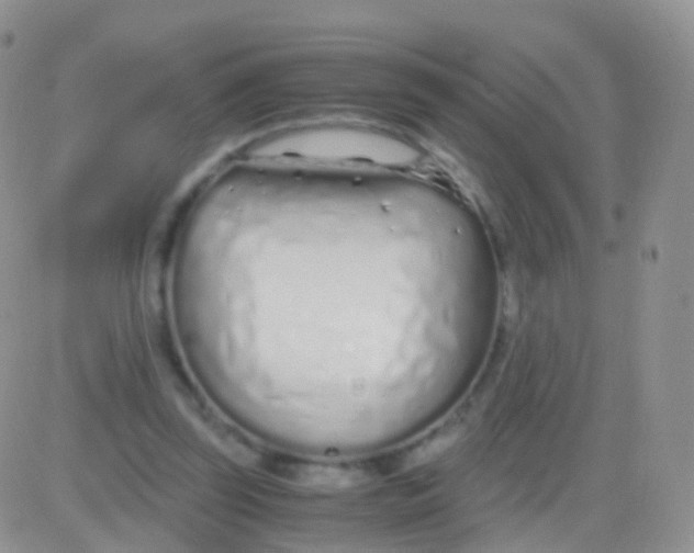 X0000083060347200702232027