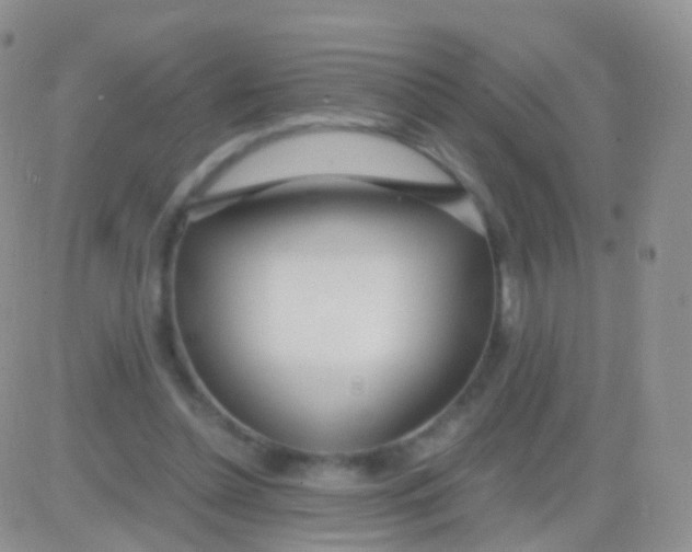 X0000083060348200702232027