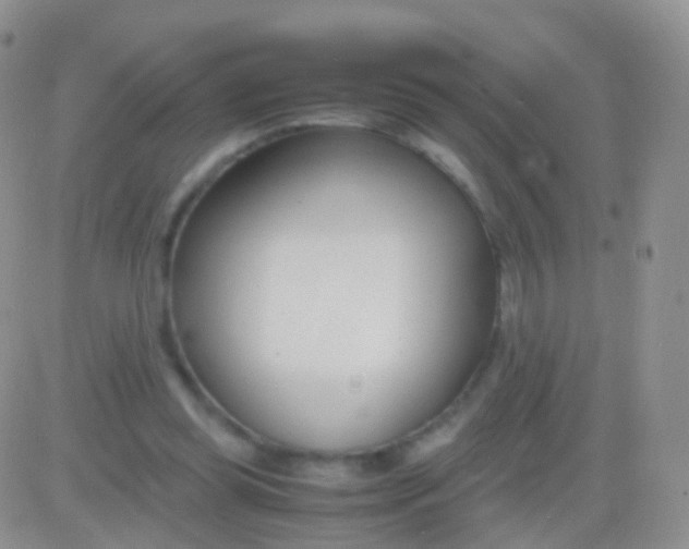 X0000083060349200702232027