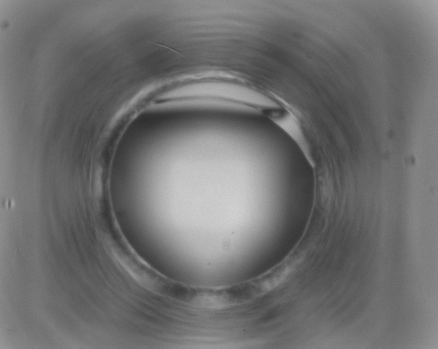 X0000083060350200702232027