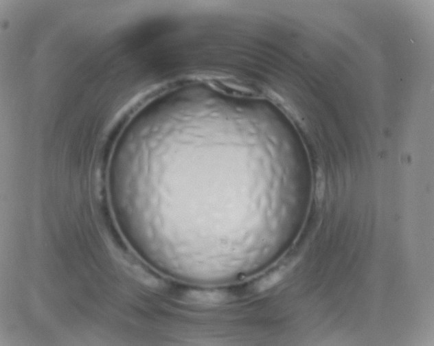 X0000083060351200702232027