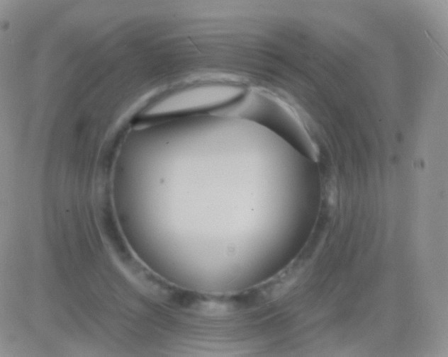 X0000083060352200702232027