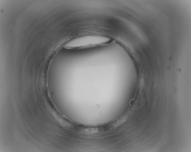 X0000083060353200702232027