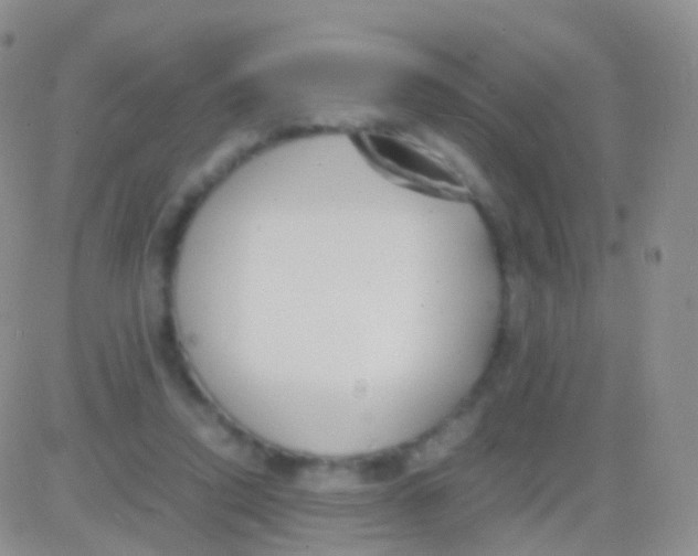 X0000083060354200702232027