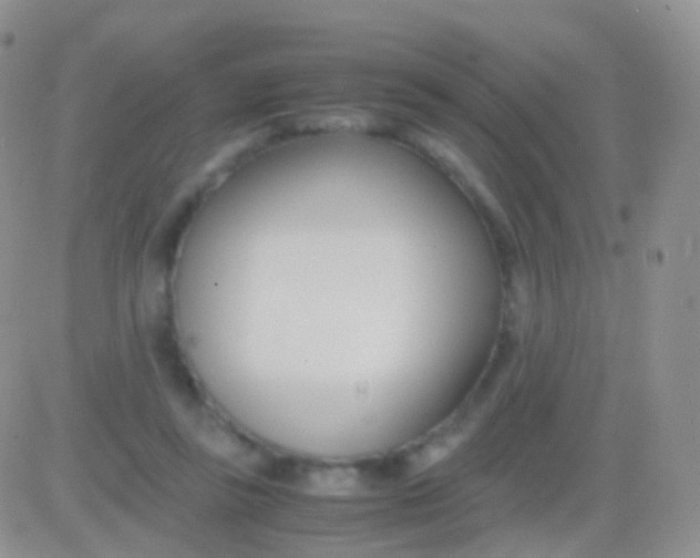 X0000083060355200702232027