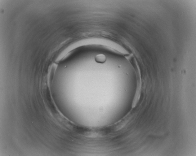 X0000083060356200702232027