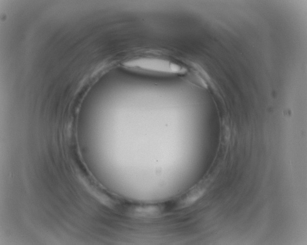 X0000083060357200702232027