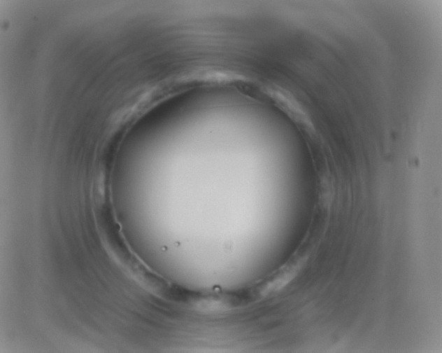 X0000083060358200702232027