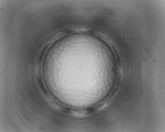 X0000083060359200702232027